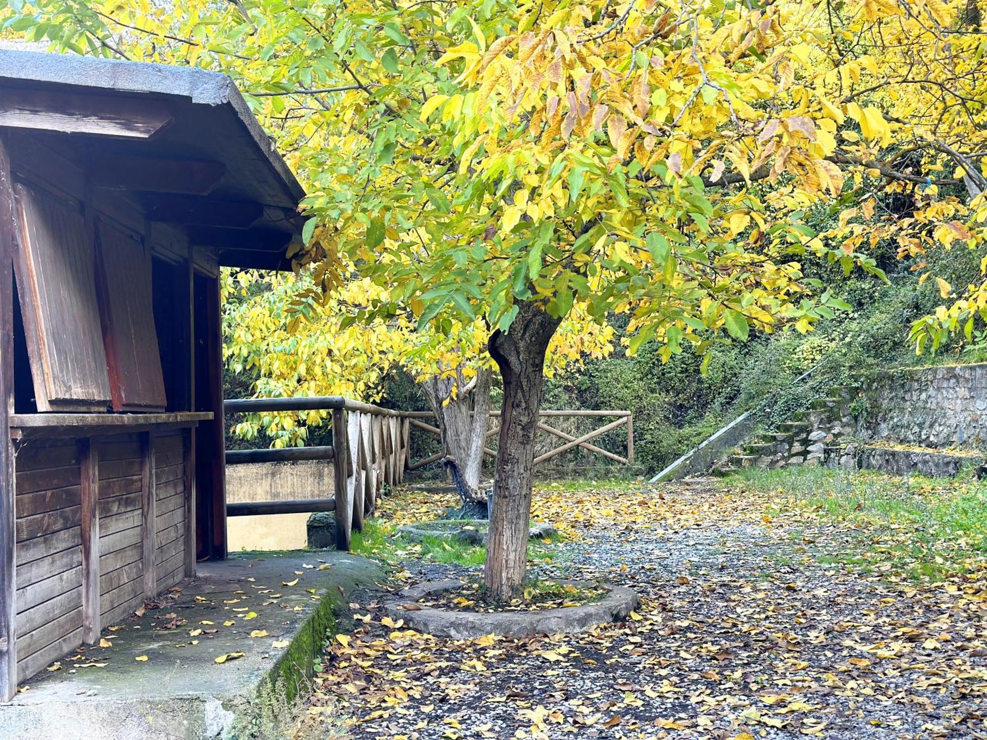 Appartamento Suenos De Monachil Esterno foto